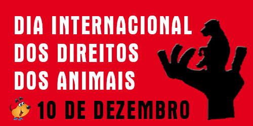 dogurbano-dia-internacional-dos-direitos-dos-animais